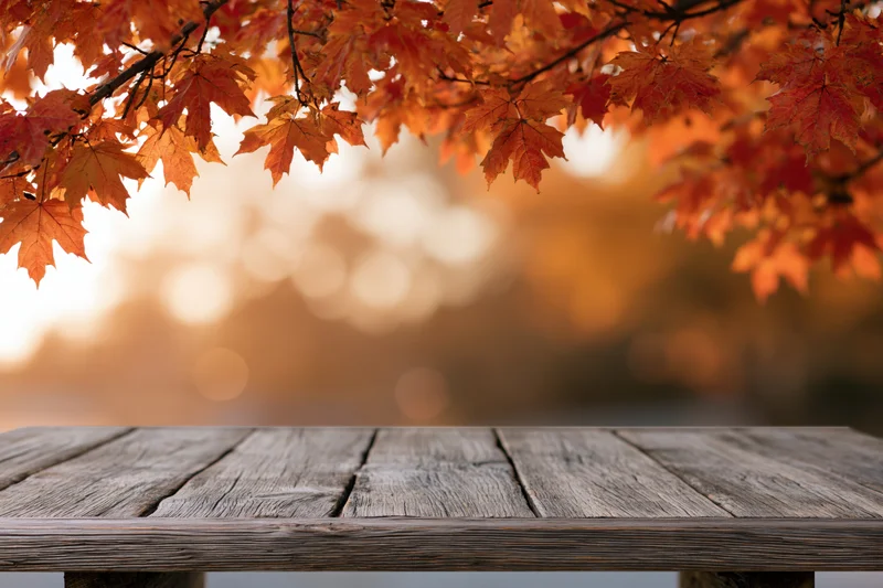 Weathered wooden table surface under autumn maple leaves with warm bokeh background