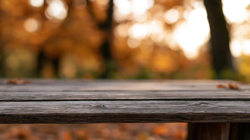 Weathered wooden table surface in a forest during autumn with blurred trees and sunlight in the background