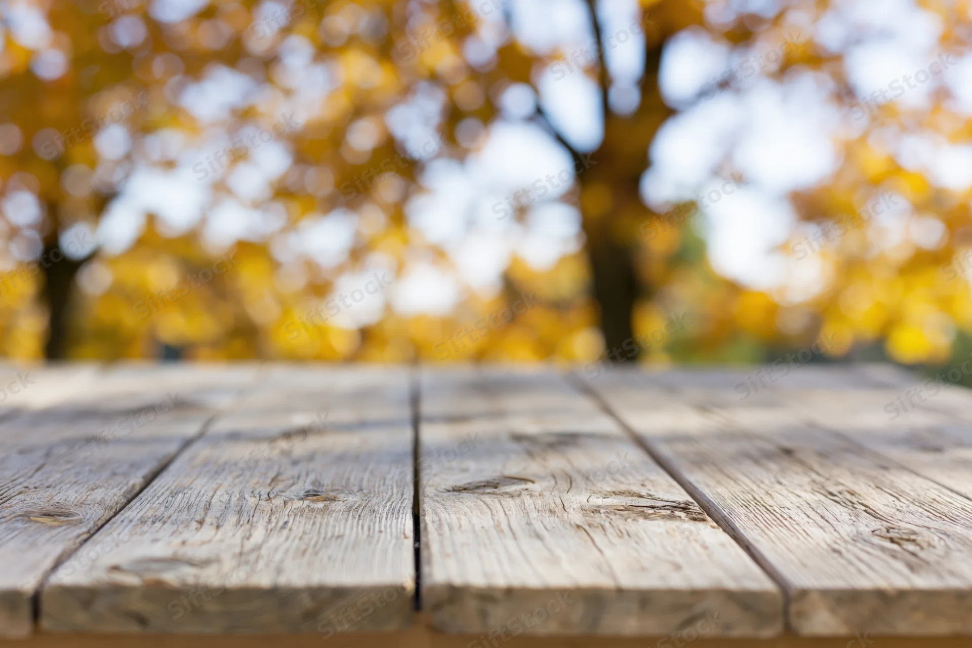 Weathered wooden tabletop in a park with autumn trees blurred in the background