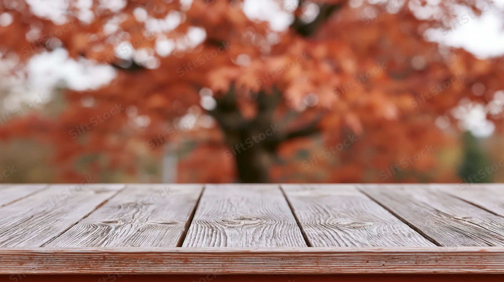 Weathered wooden plank tabletop in foreground with blurred autumn tree in background