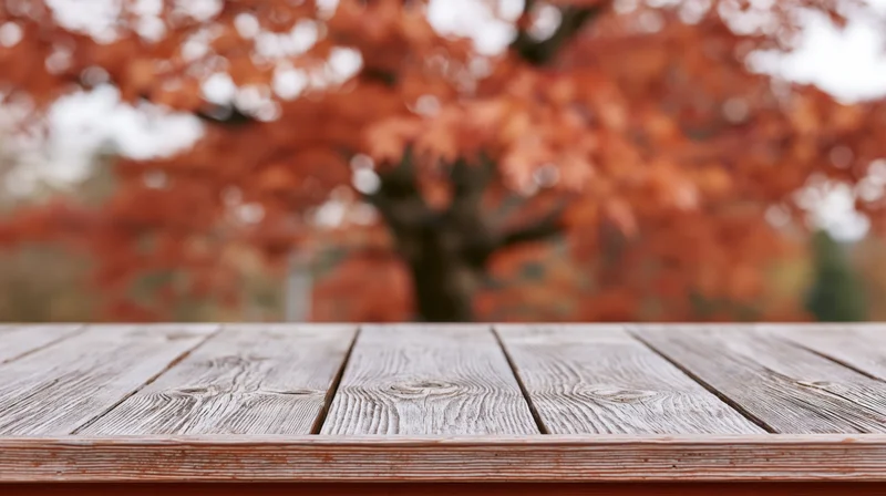 Weathered wooden plank tabletop in foreground with blurred autumn tree in background