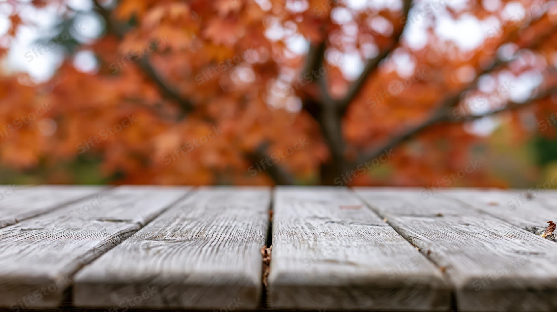 Weathered wooden table surface in front of autumn tree with orange leaves in park setting