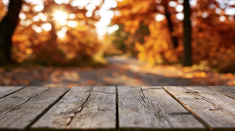 Weathered wooden table in a sunlit autumn forest path
