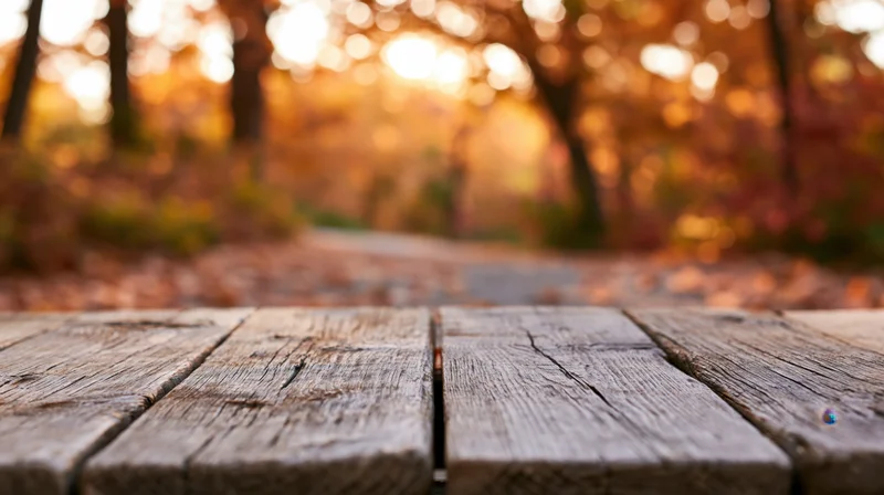 Weathered wooden table in a forest with autumn foliage and sunlight in the background