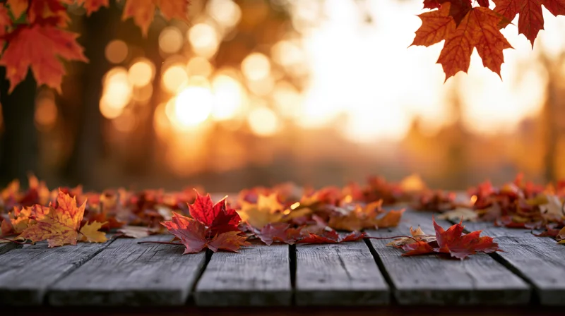 Scattered maple leaves on a weathered wooden table at sunset in a forest clearing