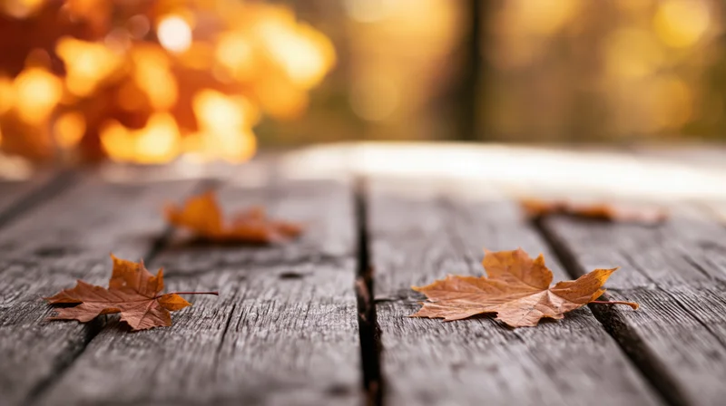 Fallen autumn leaves on a weathered wooden table outdoors
