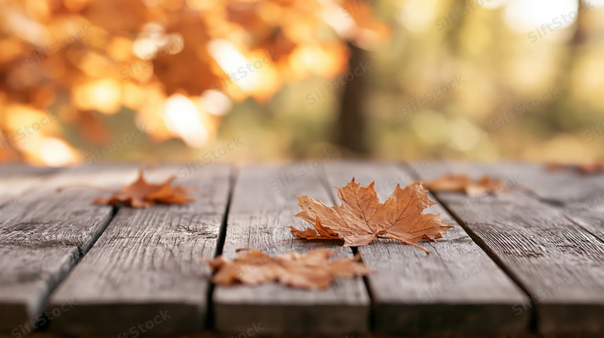 Weathered wooden table with scattered autumn leaves in a sunlit outdoor setting