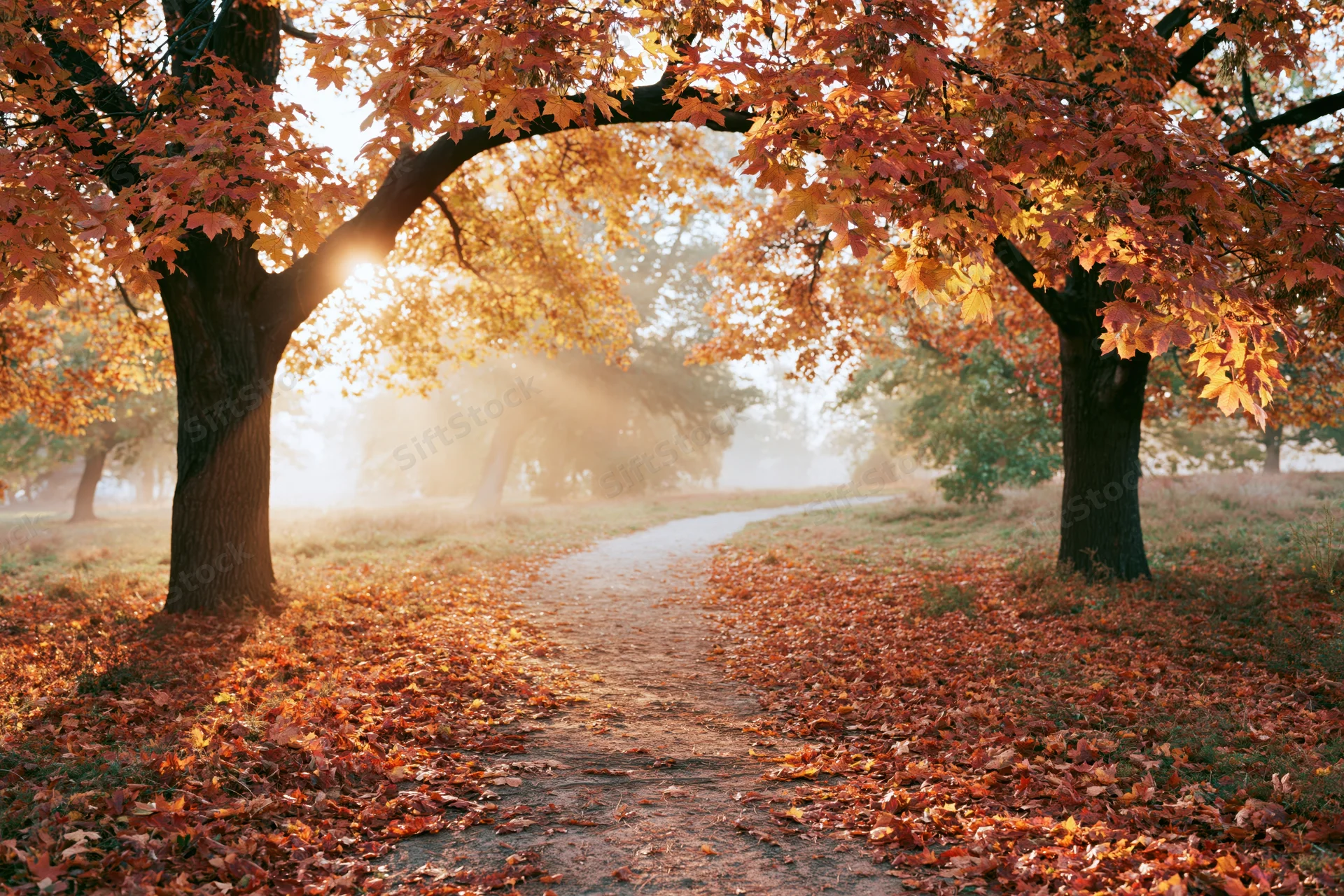 Winding dirt path through autumn park with colorful foliage and sunlight filtering through trees