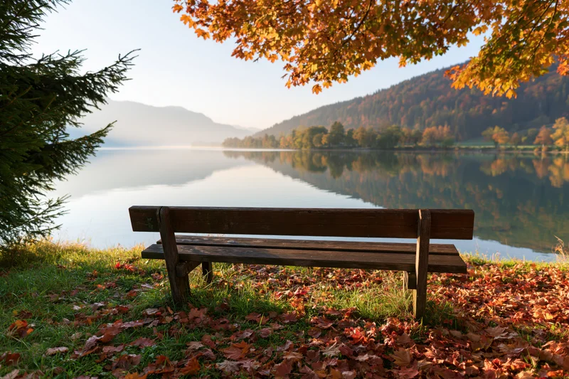 Wooden bench beside calm lake in autumn landscape with fallen leaves and mountain reflection