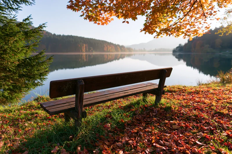 Wooden bench beside calm lake in autumn park with fallen leaves and trees reflecting in water