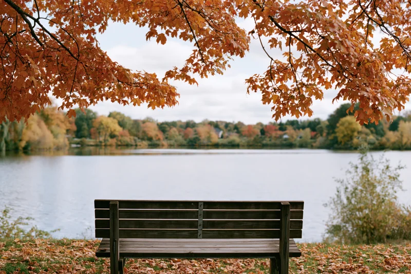 Wooden bench facing calm lake framed by autumn tree branches