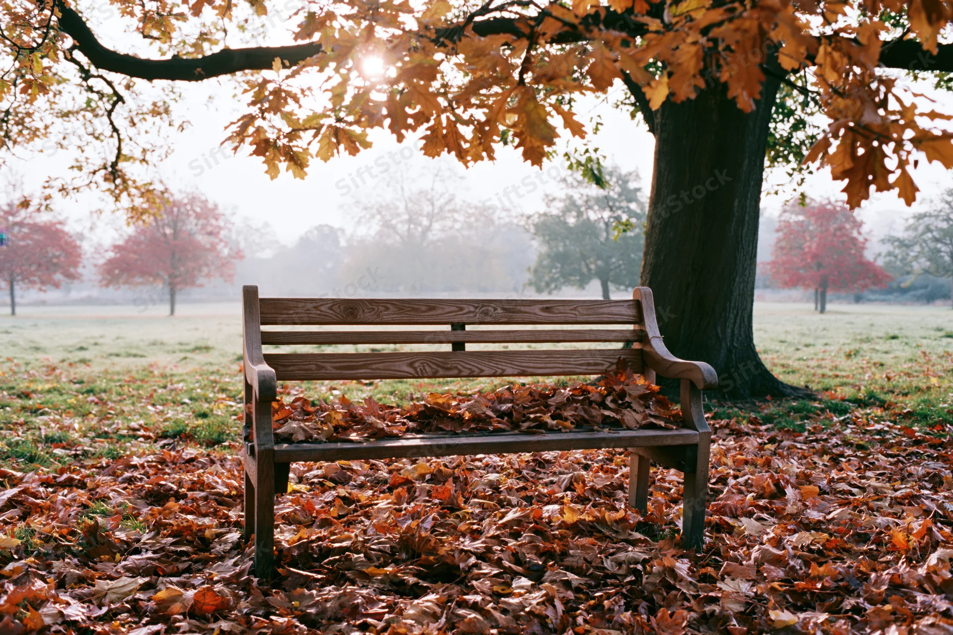Wooden bench covered in fallen leaves beneath a large tree in a misty autumn park