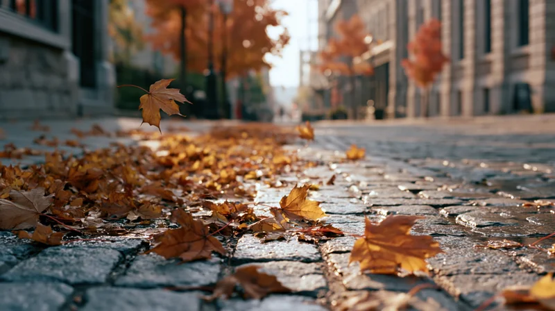 Fallen autumn leaves scattered across wet cobblestone city street
