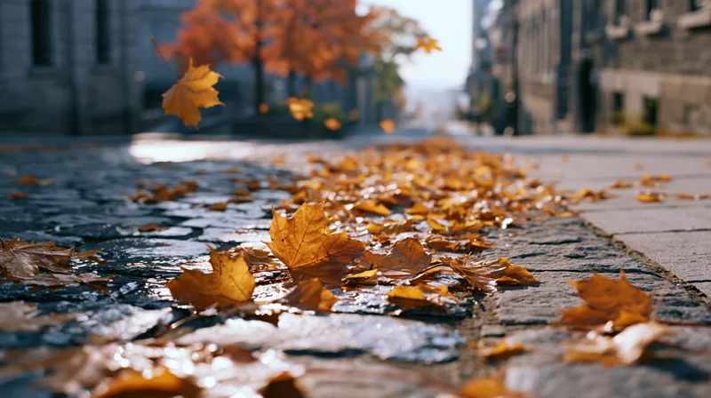 Golden autumn leaves scattered across wet cobblestone city street