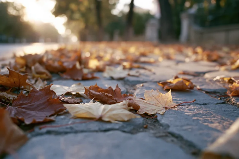 Fallen maple leaves scattered across old stone pavement in autumn park setting