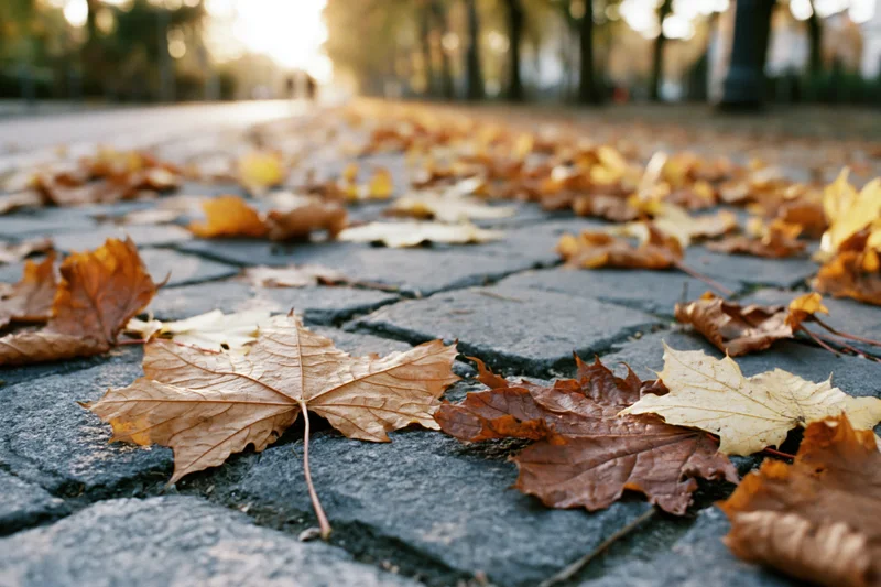 Fallen maple leaves scattered across old stone pavement in a park at autumn
