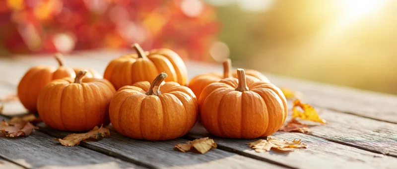 Small orange pumpkins grouped on a weathered wooden table with autumn leaves and warm sunlight