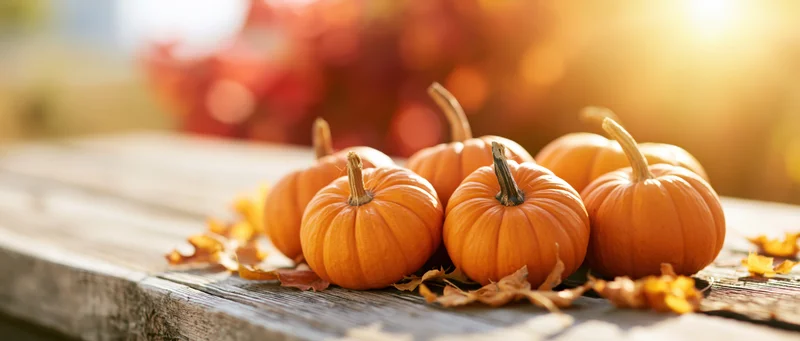 Small orange pumpkins grouped on a weathered wooden table with autumn leaves and warm sunlight