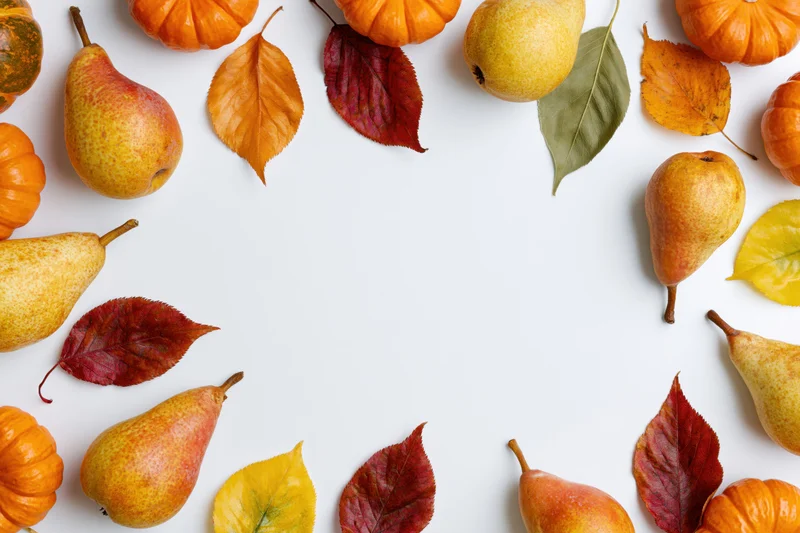 Autumn harvest items arranged in a flat lay on white background with copyspace