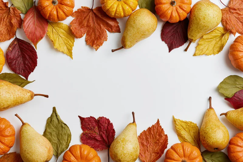 Autumn harvest items arranged in a border around white copyspace