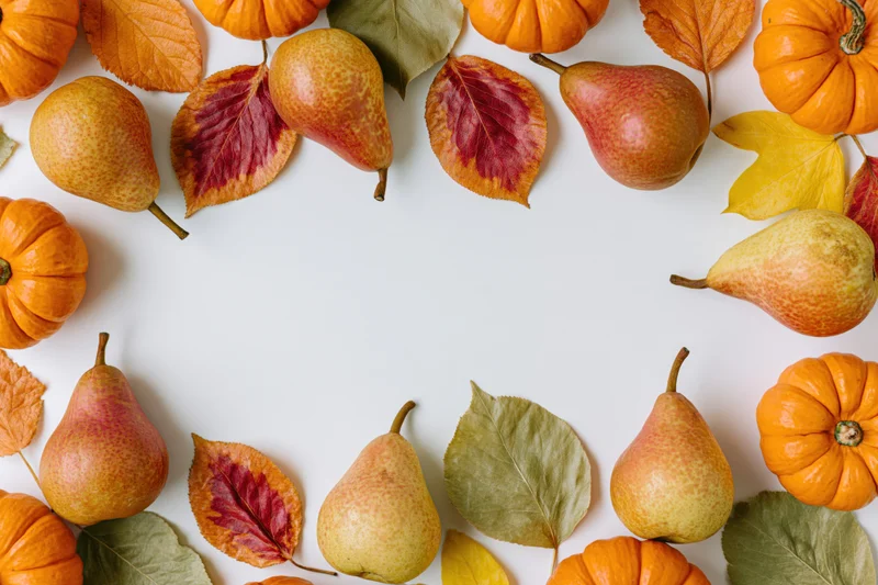 Autumn harvest items arranged in a border around white copyspace