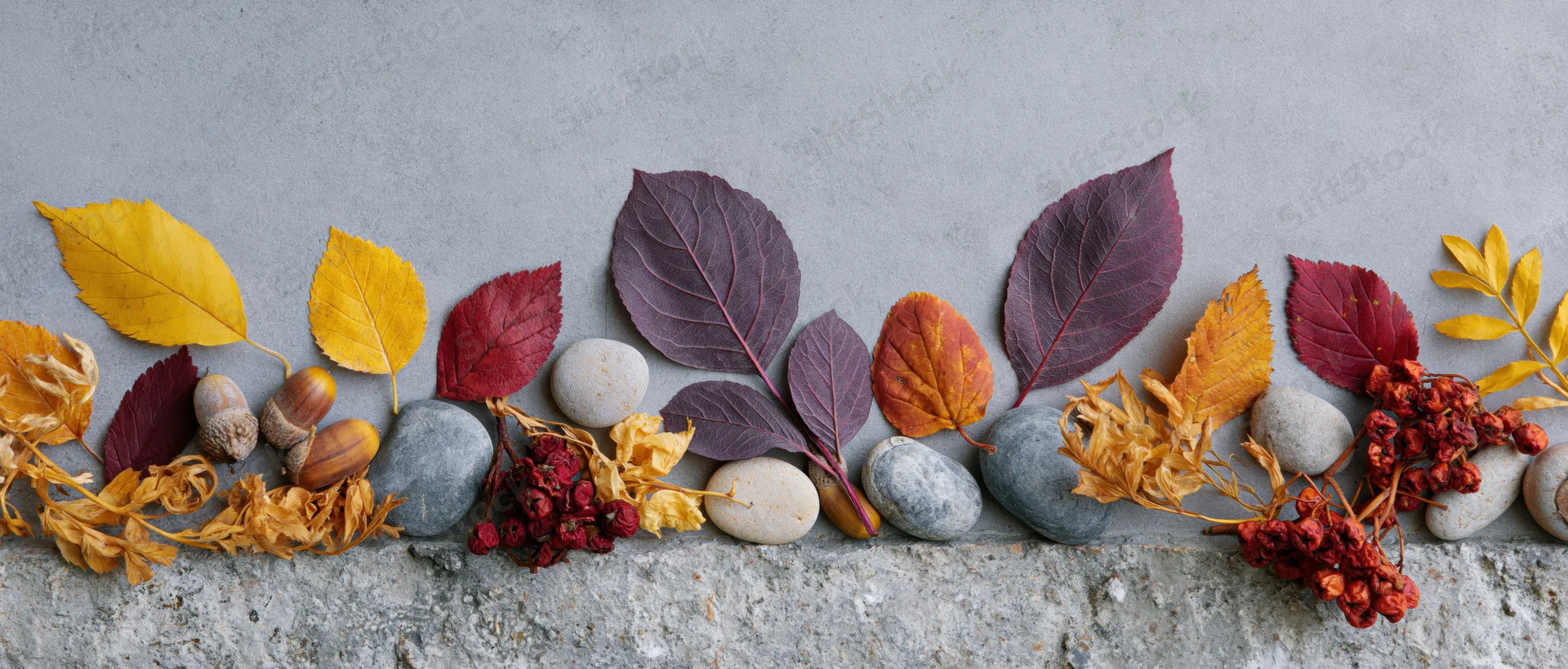 Autumn leaves and stones arranged in a row on a gray concrete surface