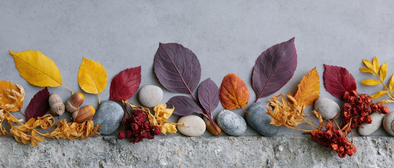 Autumn leaves and stones arranged in a row on a gray concrete surface