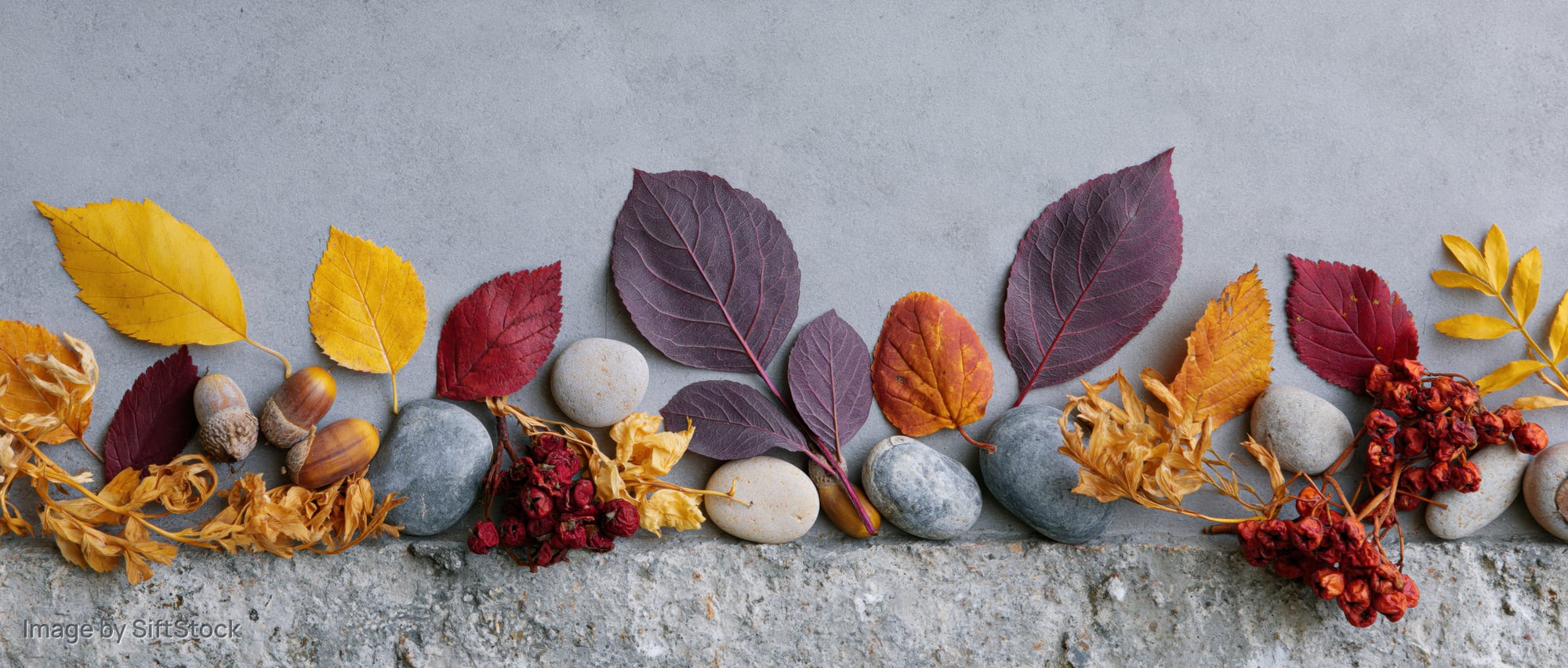 Autumn leaves and stones arranged in a row on a gray concrete surface