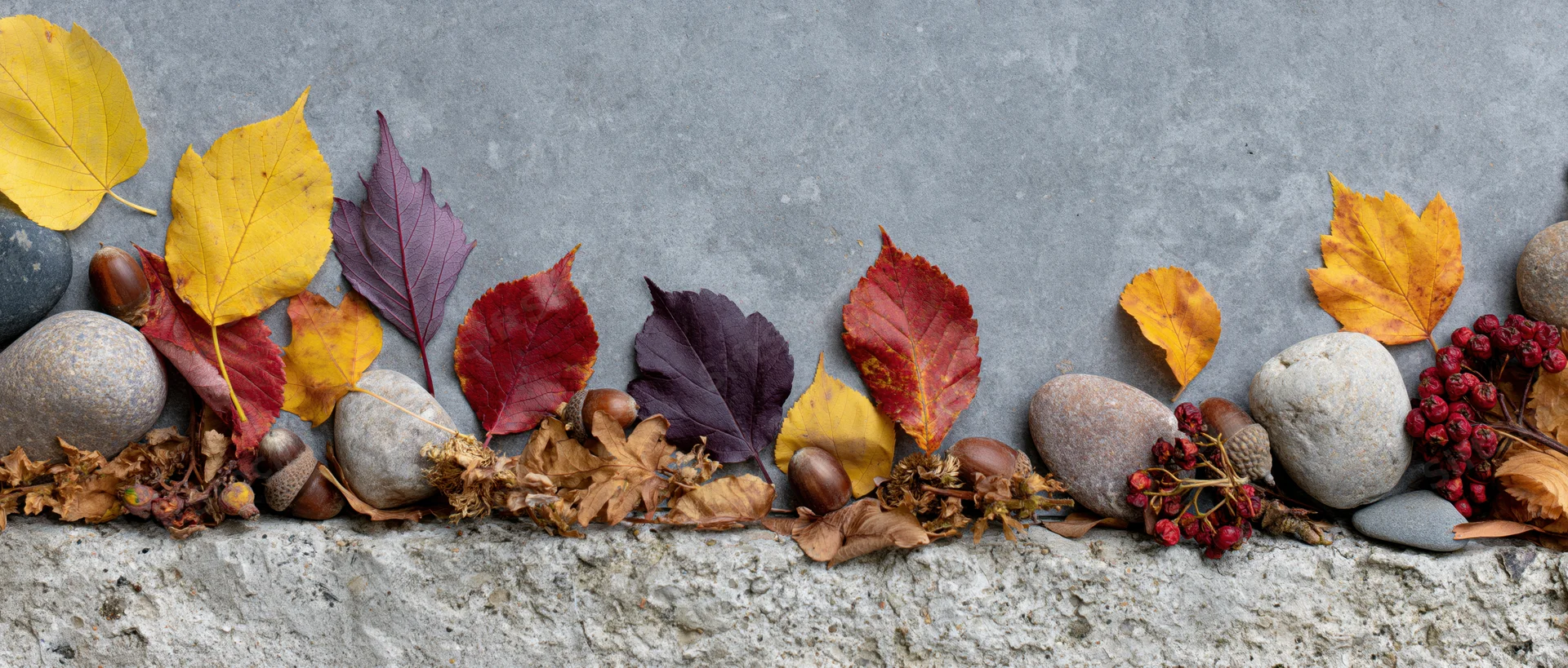 Autumn leaves and stones arranged in a row along a concrete ledge
