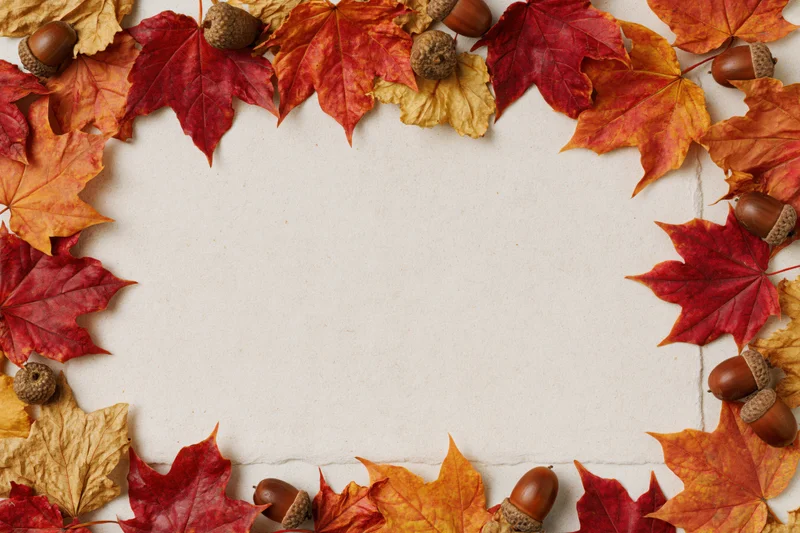 Autumn maple leaves and acorns arranged in a frame on textured surface with copyspace