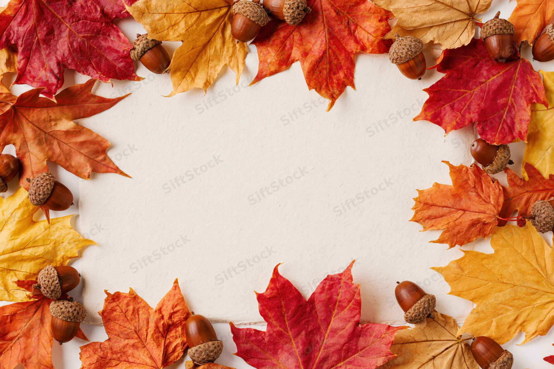Autumn maple leaves and acorns arranged in a frame on white background with copyspace