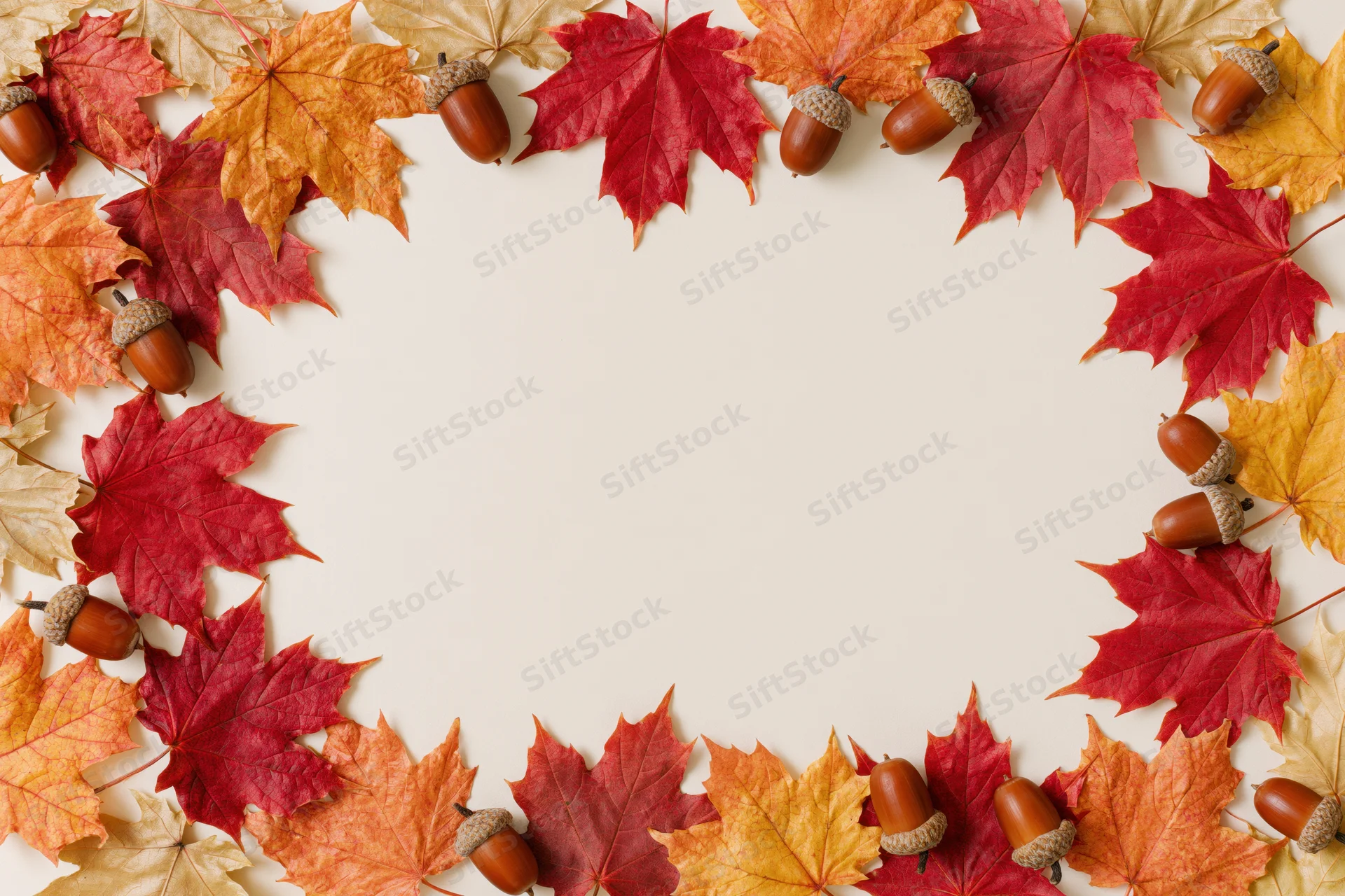 Autumn maple leaves and acorns arranged in a frame border on a cream background
