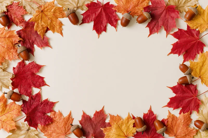 Autumn maple leaves and acorns arranged in a frame border on a cream background
