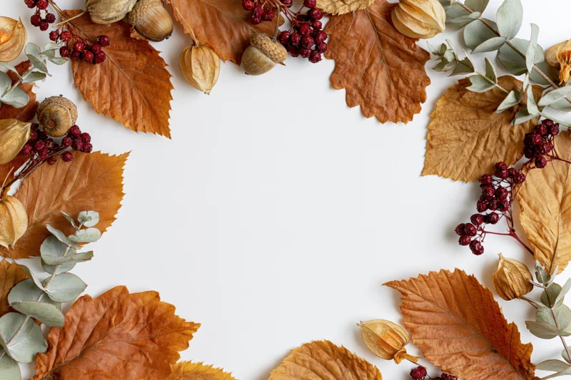Dried autumn leaves and acorns arranged in a border around white copyspace