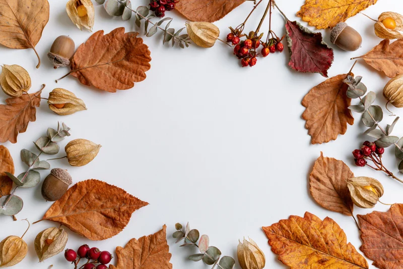 Dried autumn leaves and acorns arranged in a border around white copyspace