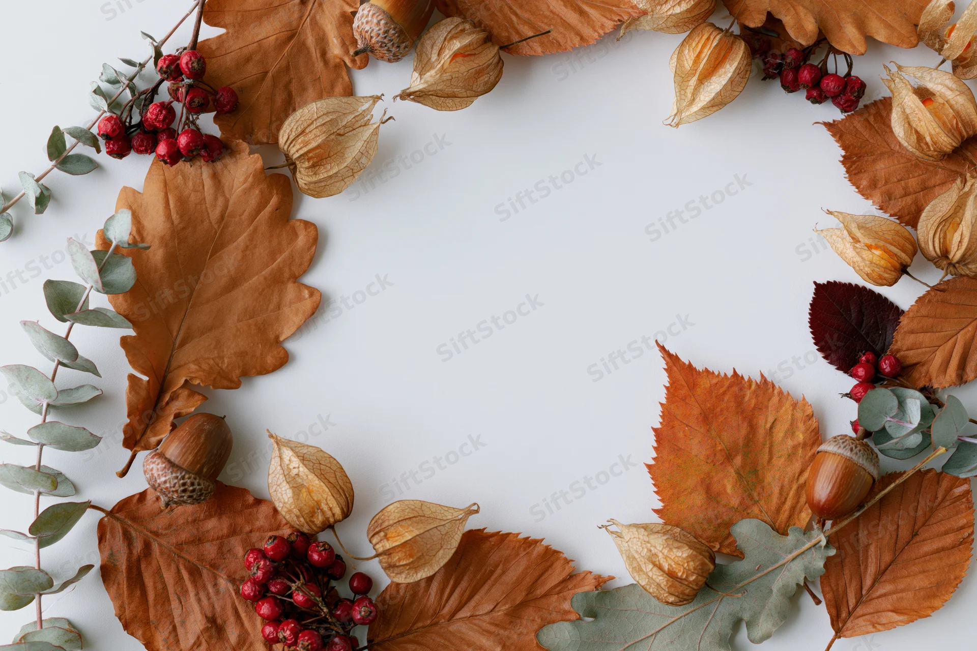 Dried autumn leaves and acorns arranged in a circular frame on white background with copyspace
