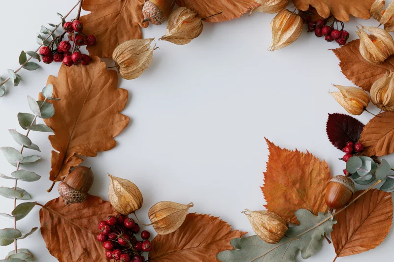 Dried autumn leaves and acorns arranged in a circular frame on white background with copyspace