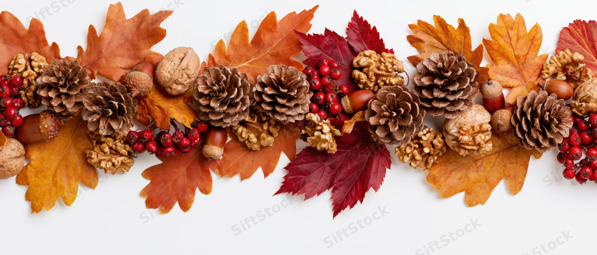 Autumn leaves and pinecones arranged in a garland with walnuts and berries on white background