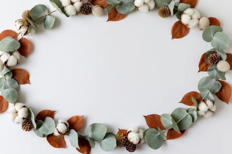 Circular wreath of eucalyptus leaves, dried cotton bolls, and pinecones arranged on white surface with central copyspace