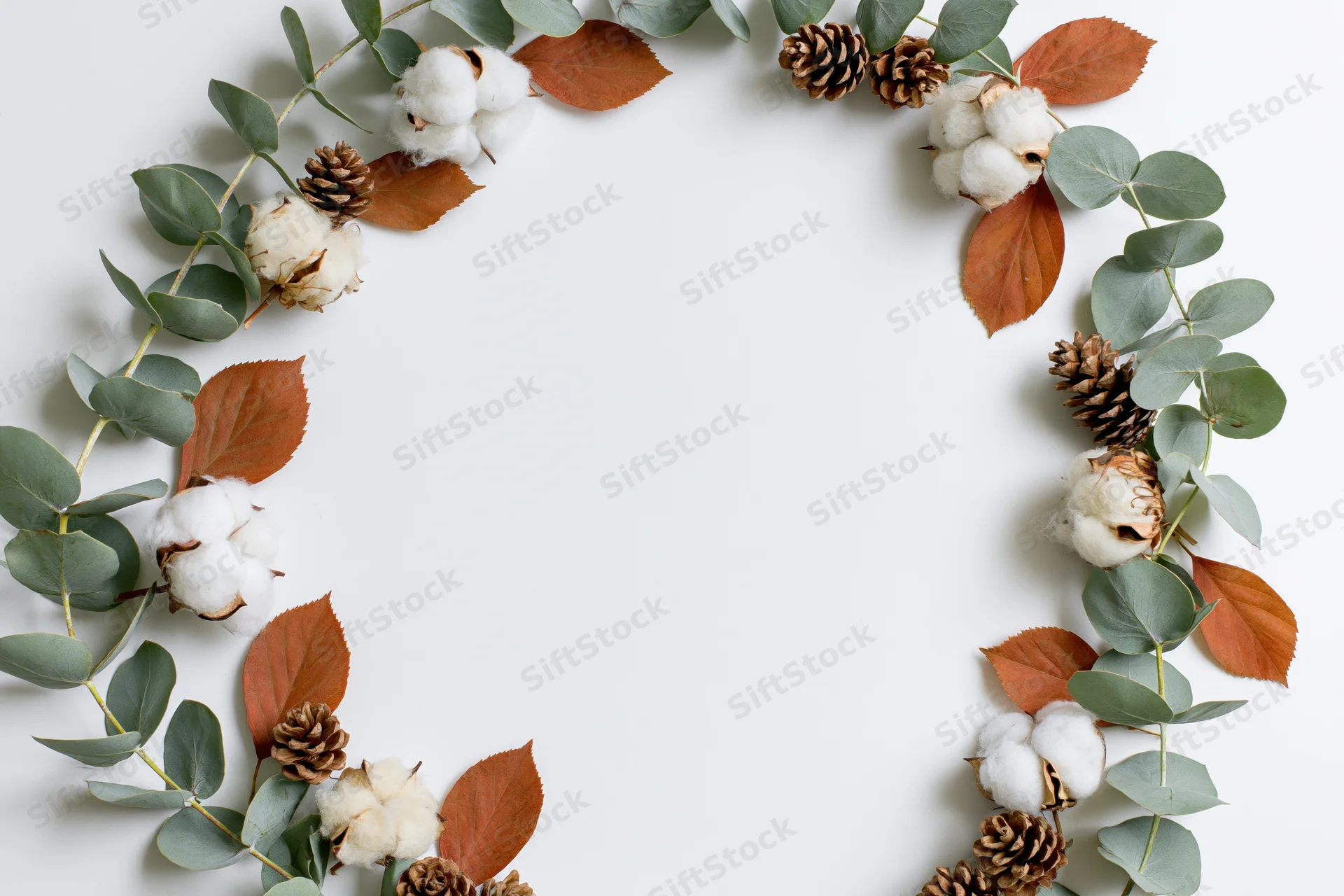 Eucalyptus branches and dried cotton bolls arranged in a frame on white background
