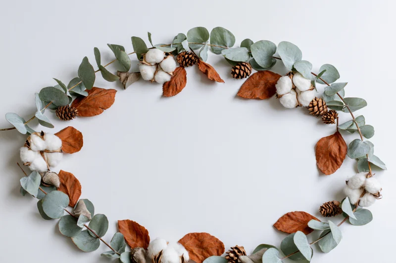 Circular wreath made of eucalyptus branches, dried cotton bolls and pinecones arranged on white surface