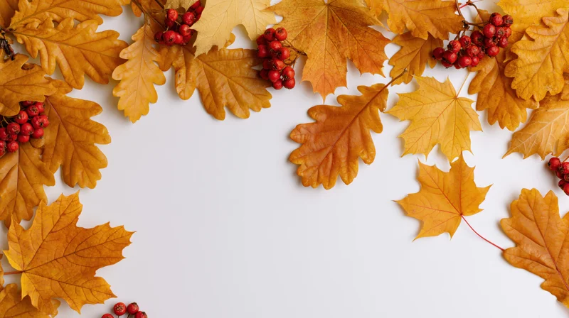 Autumn leaves and red berries arranged in a border around white copyspace