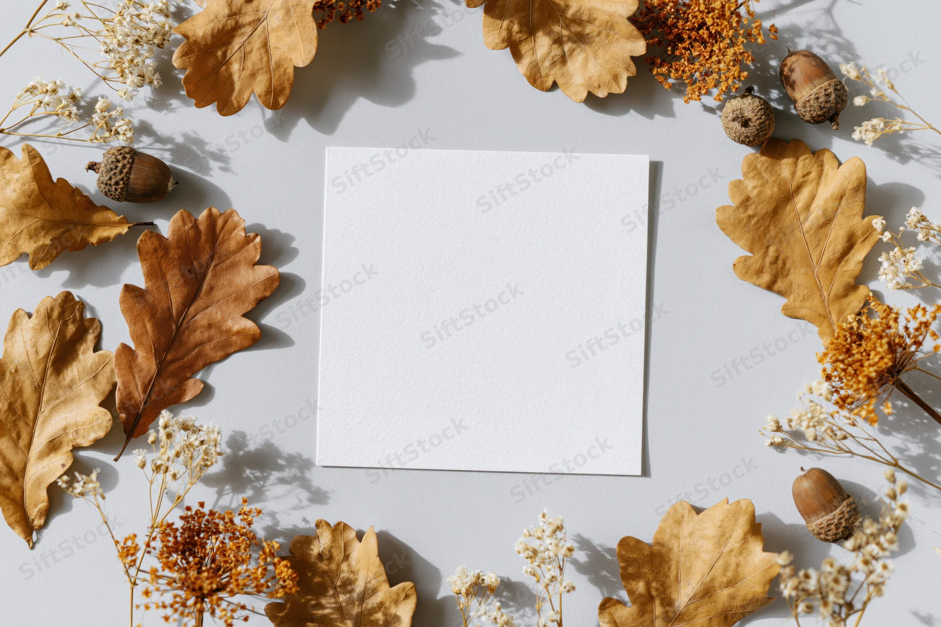 Blank white card centered on light gray surface surrounded by dried autumn leaves and acorns