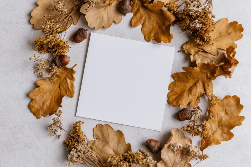 Blank white square card centered on light gray surface surrounded by dried oak leaves and acorns forming a circular frame
