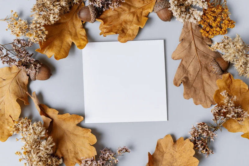 Blank white card centered on gray surface surrounded by dried autumn leaves and acorns