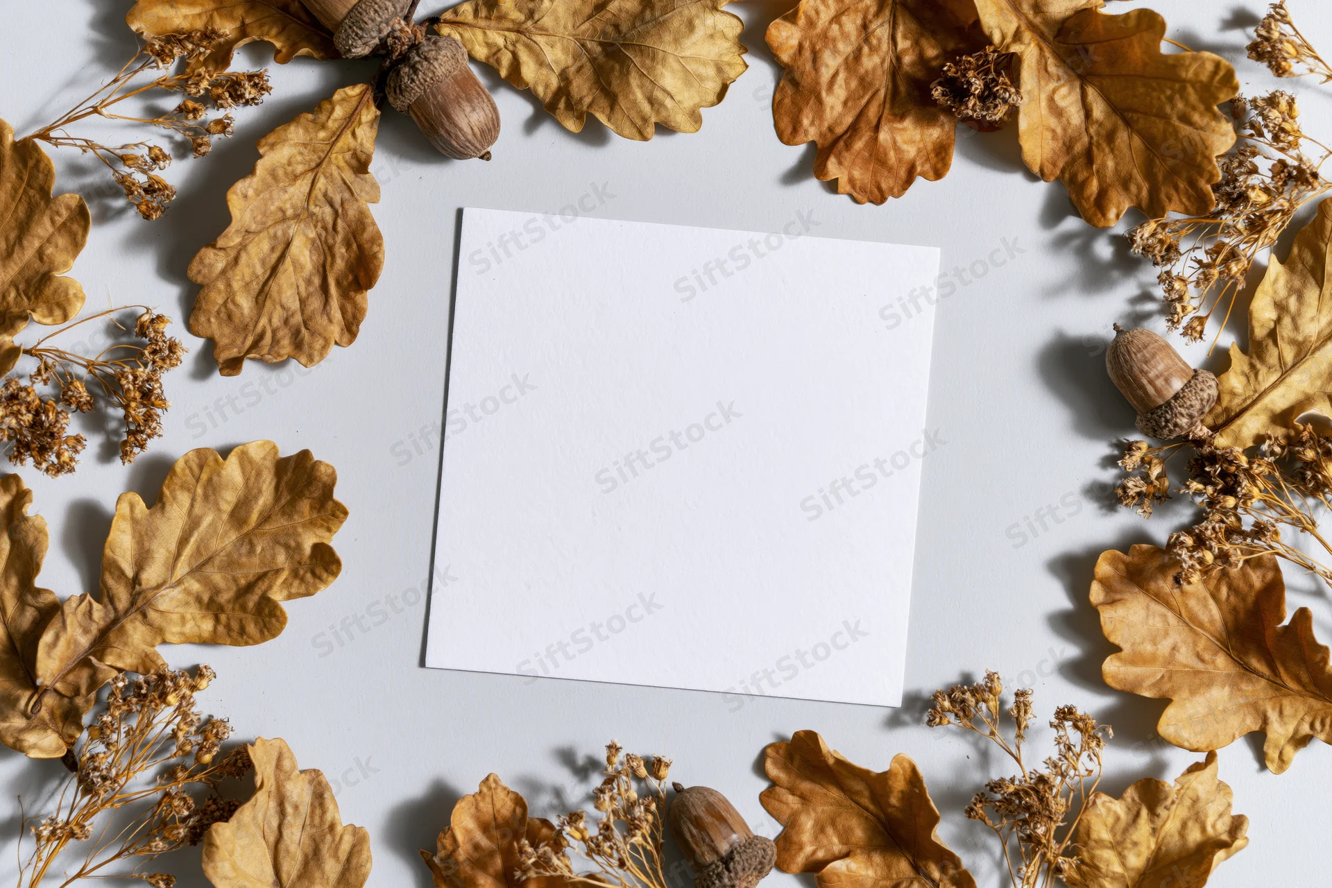 Blank white card centered on light gray surface surrounded by dried oak leaves and acorns in autumn arrangement