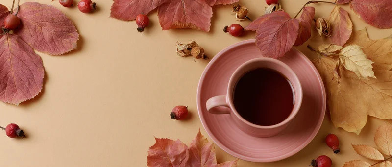 Ceramic cup of black tea on pink saucer surrounded by autumn leaves and rosehips on beige surface