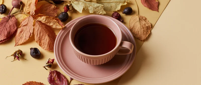 Ceramic cup of black tea on pink saucer surrounded by dried autumn leaves and rosehips on beige surface