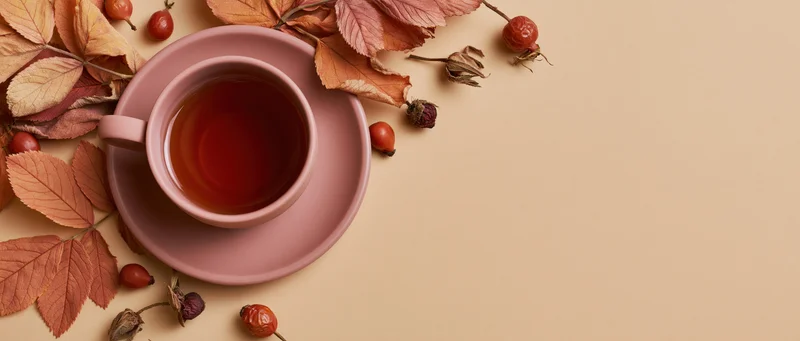 Ceramic cup of tea on pink saucer with autumn leaves and rosehips arranged on beige surface