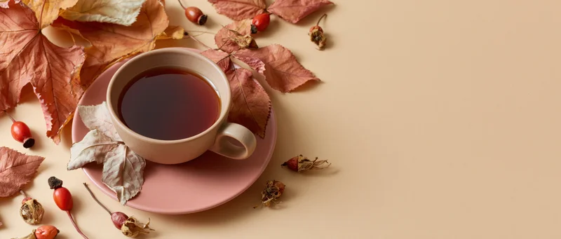 Ceramic cup of black tea on pink saucer surrounded by autumn leaves and rosehips on beige surface